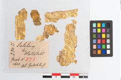 Foto von Goldschwertknaufbesatzfolien (NHMW-PRAE-025451)